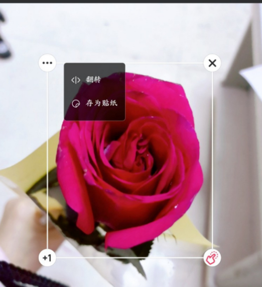 正确使用美图秀秀手机版进行图像抠图和合成的方法  第8张