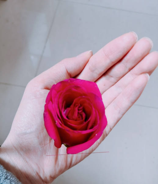 正确使用美图秀秀手机版进行图像抠图和合成的方法  第11张