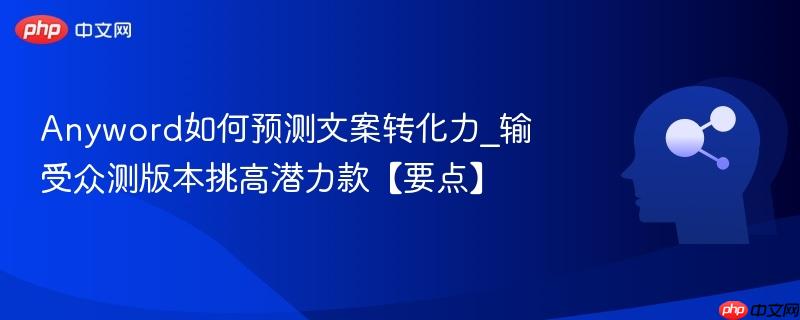 Anyword如何预测文案转化力_输受众测版本挑高潜力款【要点】  第1张