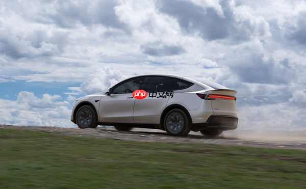 多家车企开年促销 特斯拉小米免息 宝马大众大降价  第1张