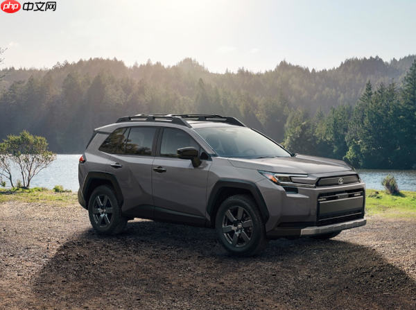 两家中国企业进入全球汽车销量TOP 10 增速超18%  第1张