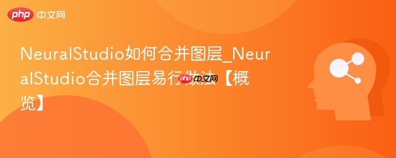 NeuralStudio如何合并图层_NeuralStudio合并图层易行做法【概览】  第1张