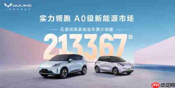 五菱缤果家族去年销量破21万台 上市累计销量破61万台  第2张