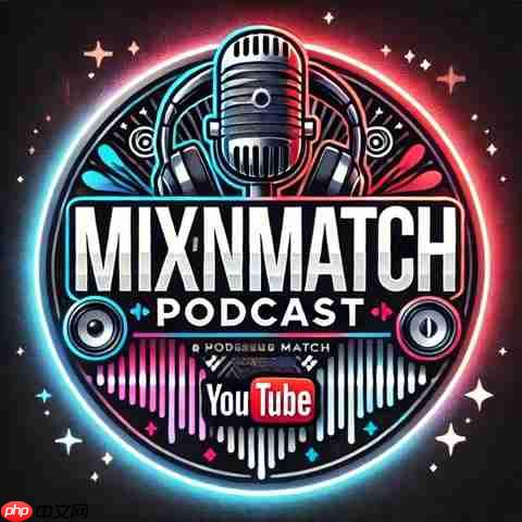 MixNMatch Podcast：从草根到750集，成功秘诀与未来展望  第3张