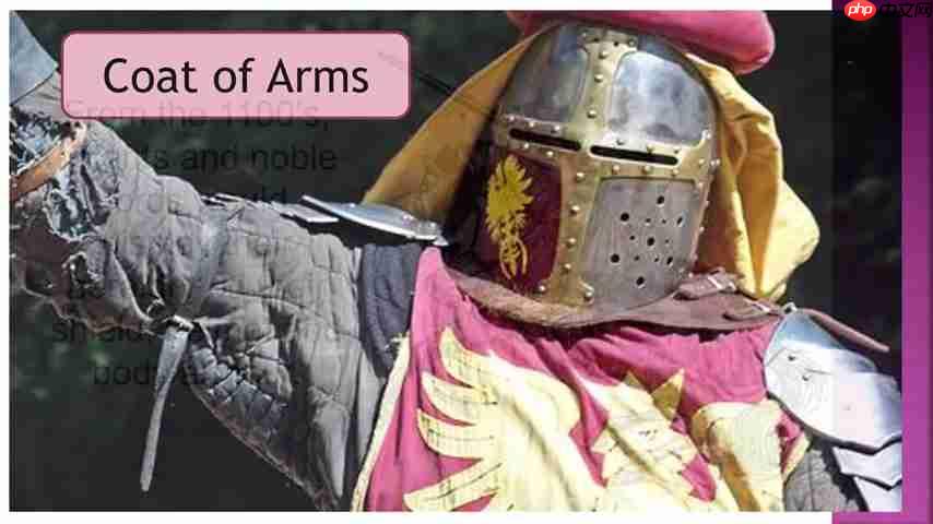 探索纹章学：理解盾徽、颜色和符号的意义  第3张