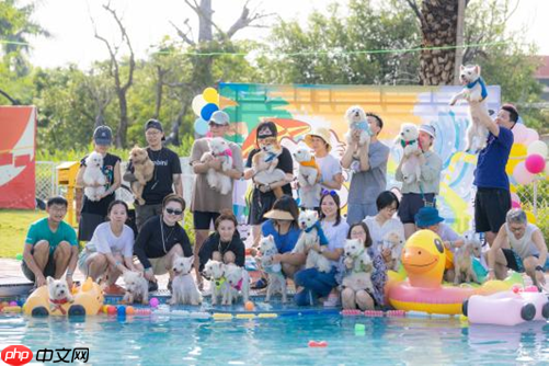 乐平镇锚定“全国宠物度假小镇” 书写大湾区文旅融合新篇章  第6张