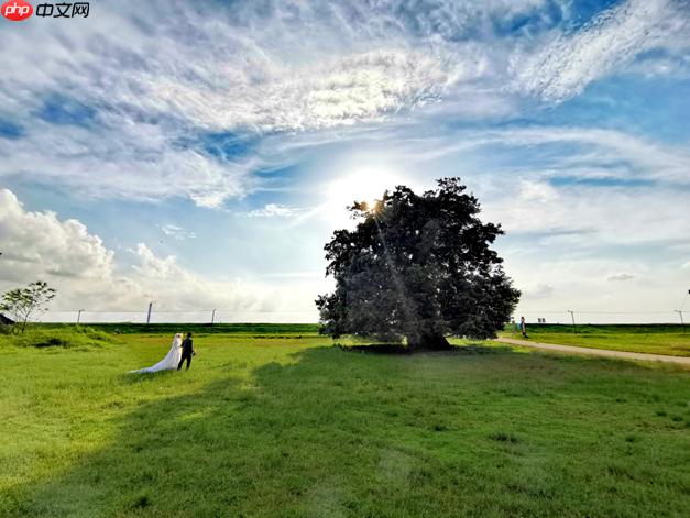 乐平镇锚定“全国宠物度假小镇” 书写大湾区文旅融合新篇章  第8张