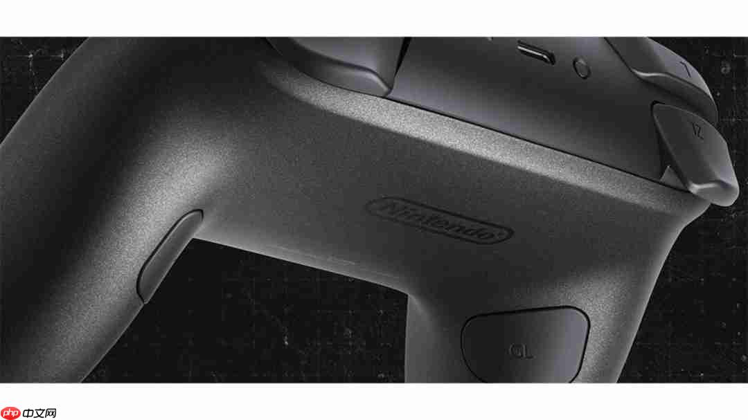 卡普空公布《生化危机9》主题NS2 Pro手柄和Amiibo  第4张