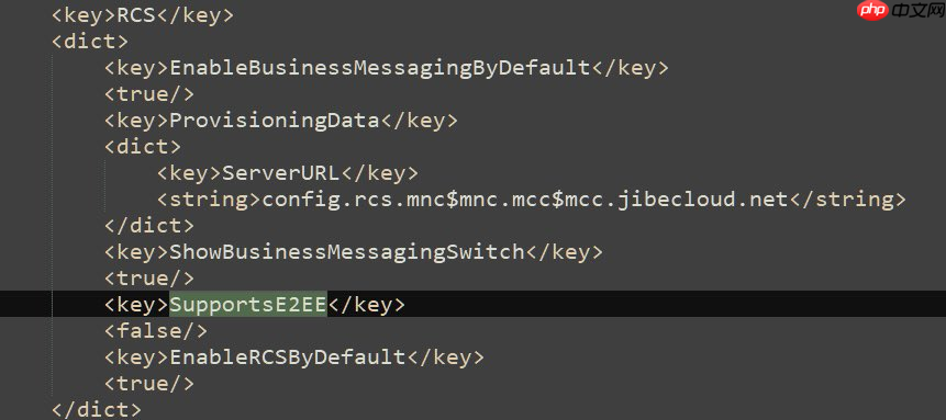 iOS 26.3测试版文件显示 苹果正准备为RCS引入端到端加密  第2张