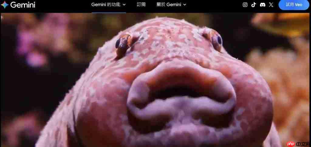 Google发布新AI「Veo 3.1」照片秒变短影音 生成直式影片更简单了！  第1张