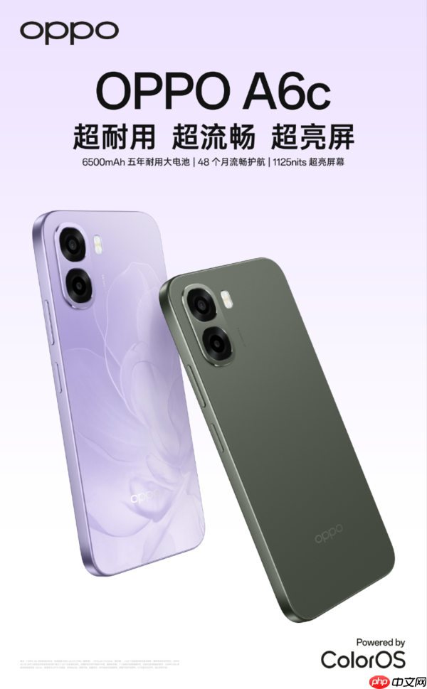 OPPO A6c开启预售 搭载6500mAh电池+骁龙685平台