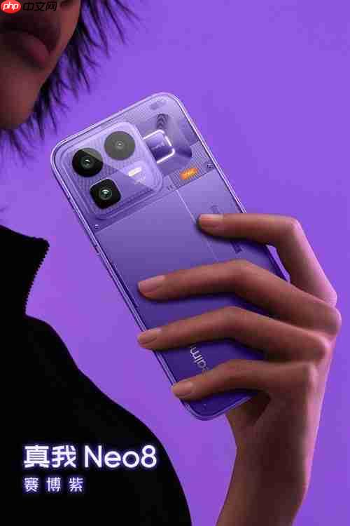 无需ROOT！支持温控调节和自定义频率，真我Neo8配置曝光  第3张