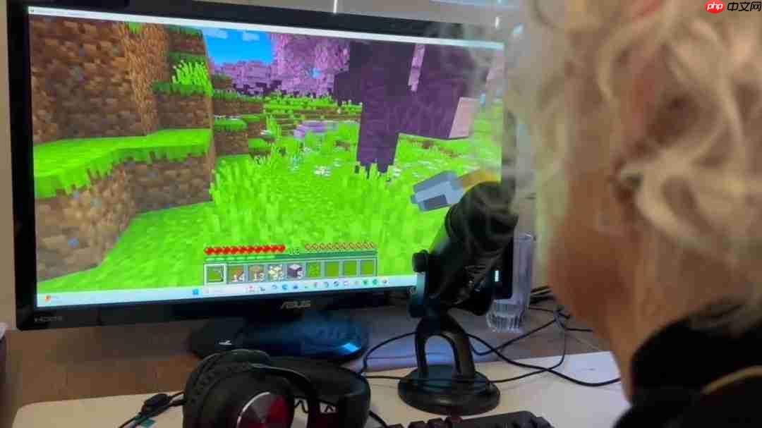 81岁奶奶直播《我的世界》为孙子治疗癌症  第2张