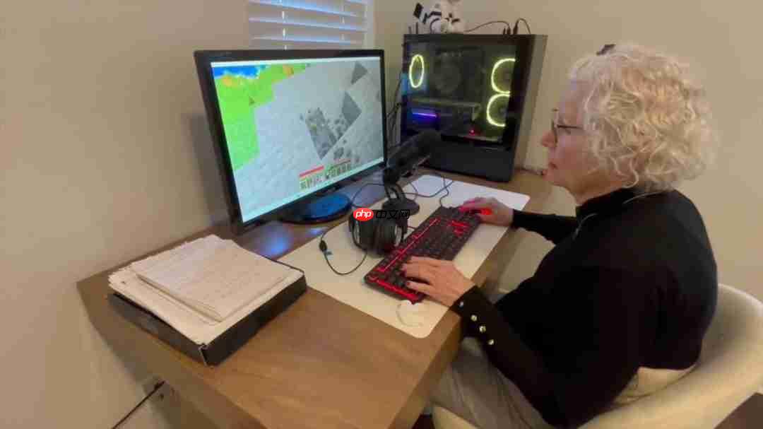 81岁奶奶直播《我的世界》为孙子治疗癌症  第3张