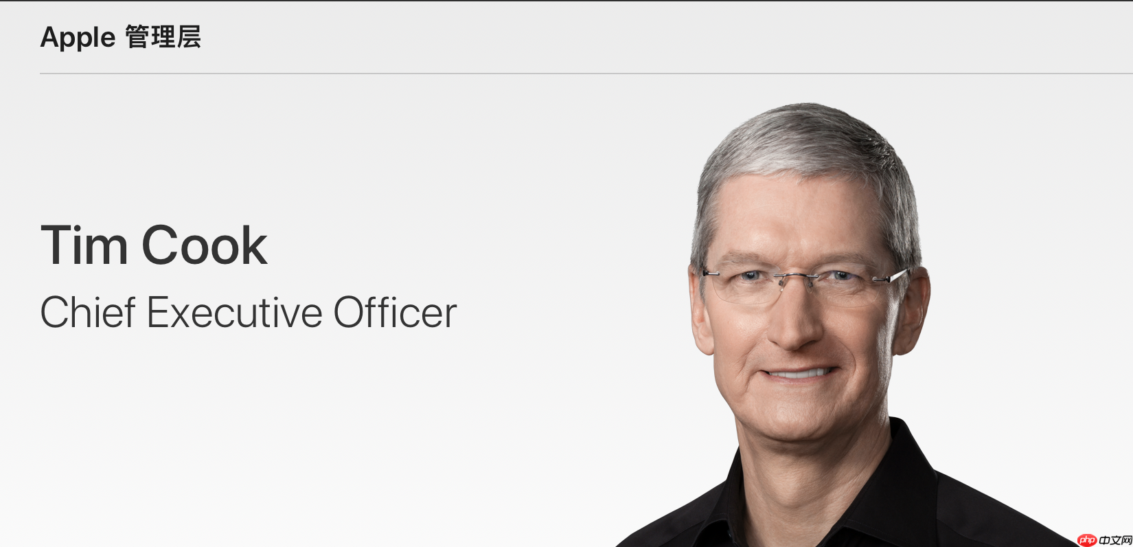 苹果接班人悬念：硬件负责人特努斯呼声最高  第2张