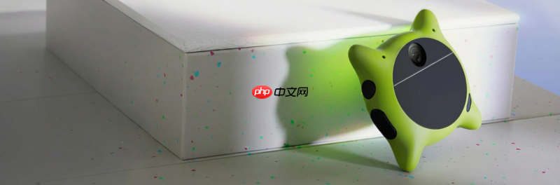 蚂蚁、美团入局AI硬件，Looki完成超2000万美元A轮融资  第1张