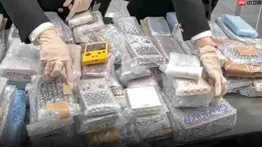 别等你的快递了 125台二手走私Game Boy被海关查扣  第3张