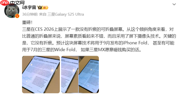 三星无折痕屏幕亮相CES 苹果、三星新机有望率先搭载  第2张