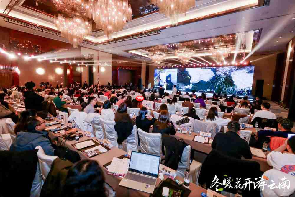 冬暖花开游云南 &nbsp;文旅联动谱新篇  第2张