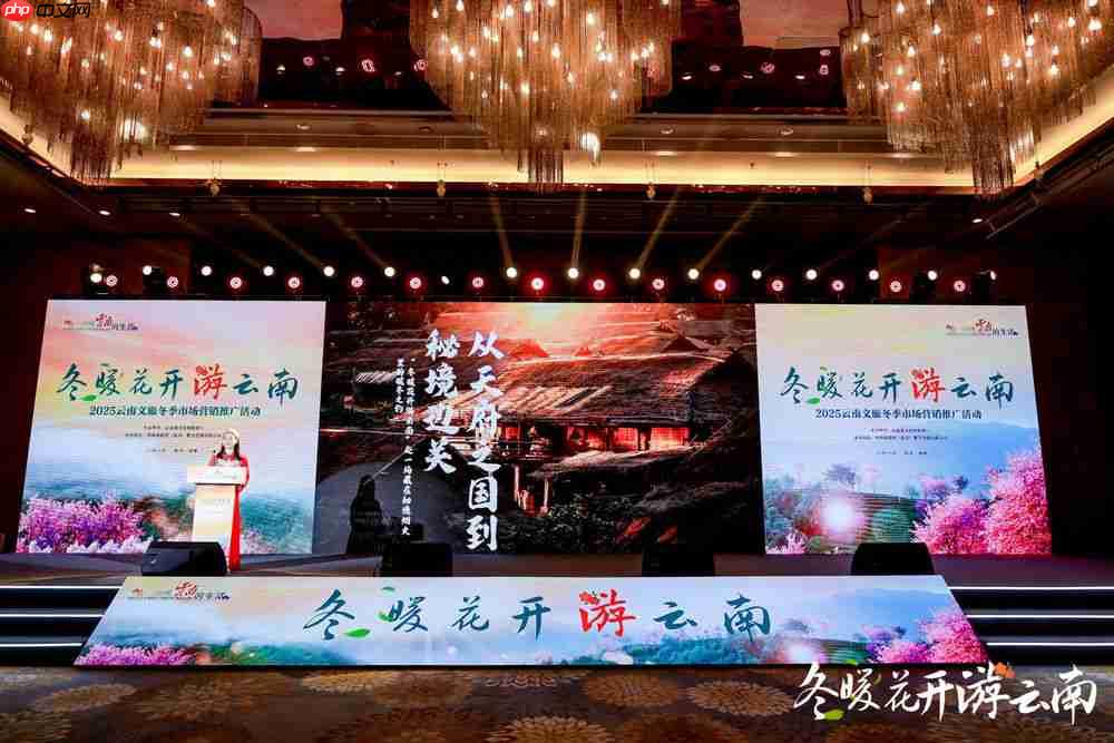 冬暖花开游云南 &nbsp;文旅联动谱新篇  第3张