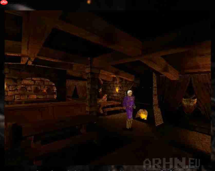 最早的《巫师》游戏竟不是CDPR做的！ 开发者谈论取消原因  第4张