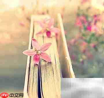 如何高效读书及注意事项  第2张