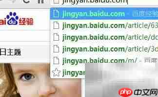 电脑打开WAP页面怎么办  第4张