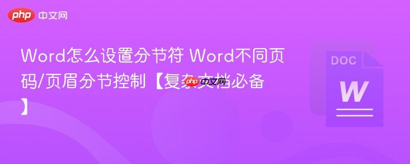 Word怎么设置分节符 Word不同页码/页眉分节控制【复杂文档必备】  第1张