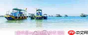 船讯网app如何查看微档案  第1张