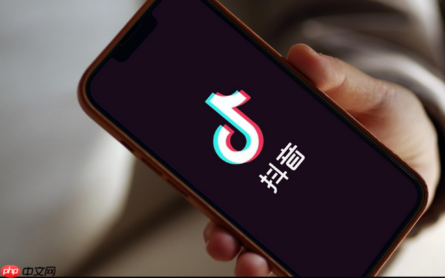 抖音极速版提现总金额在哪里查  第1张