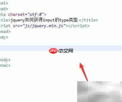 jQuery获取input的type类型方法