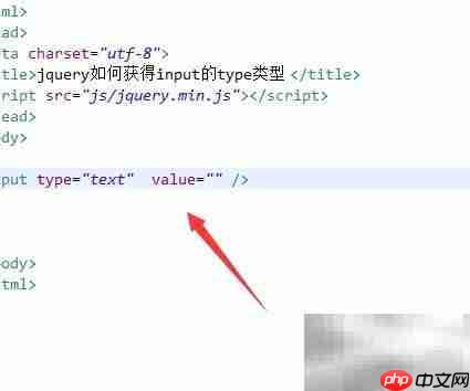 jQuery获取input的type类型方法  第2张