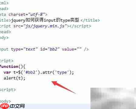 jQuery获取input的type类型方法  第5张