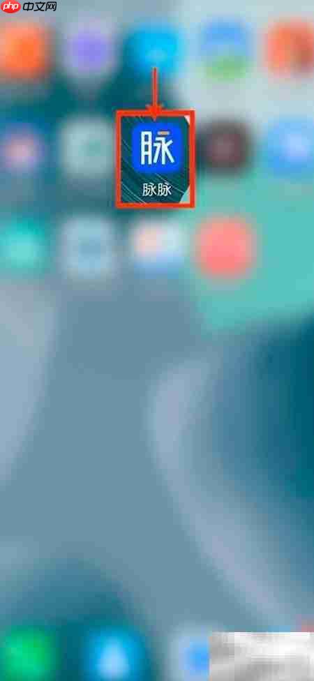 脉脉如何设置好友查看资料  第1张