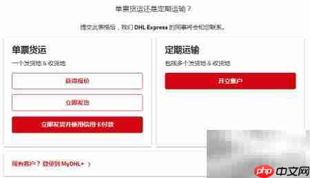 DHL国际快递运单制作（日文版）  第2张