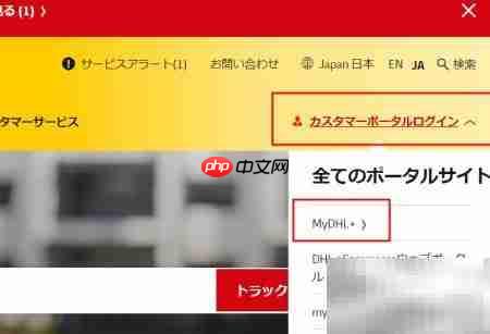 DHL国际快递运单制作（日文版）  第4张