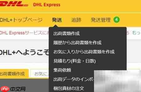 DHL国际快递运单制作（日文版）  第6张