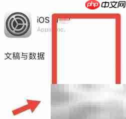 苹果系统数据清理方法  第3张