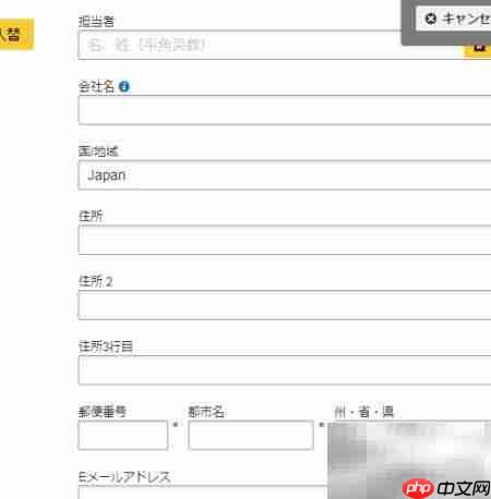 DHL国际快递运单制作（日文版）  第11张