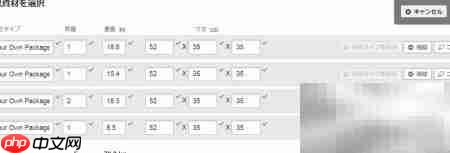 DHL国际快递运单制作（日文版）  第16张