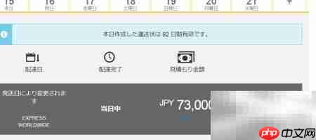 DHL国际快递运单制作（日文版）  第19张