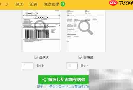 DHL国际快递运单制作（日文版）  第21张