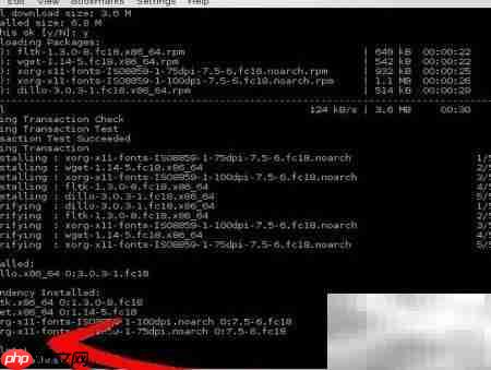 Red Hat安装软件指南  第6张