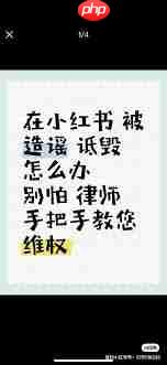 发小红书被起诉会面临什么后果