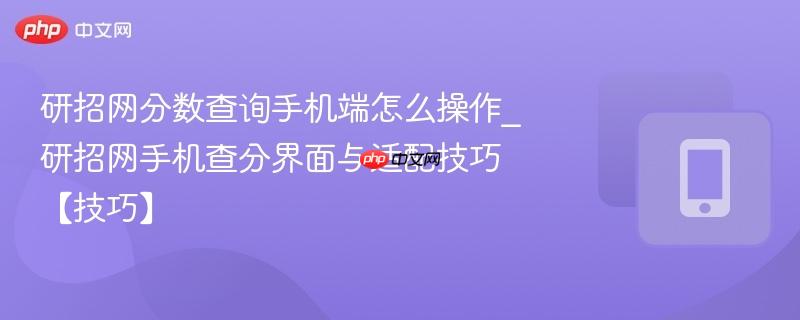 研招网分数查询手机端怎么操作_研招网手机查分界面与适配技巧【技巧】  第1张