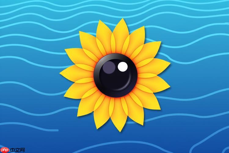 向日葵客户端怎么进行远程iOS控制_向日葵客户端远程iOS控制操作教程