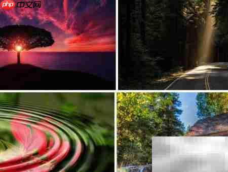 免费下载高清图片全攻略  第4张