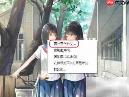 免费下载高清图片全攻略  第8张