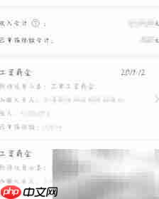 个税APP查工资记录指南  第3张