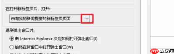 ie11怎么设置标签页显示-ie11设置标签页显示的方法  第6张